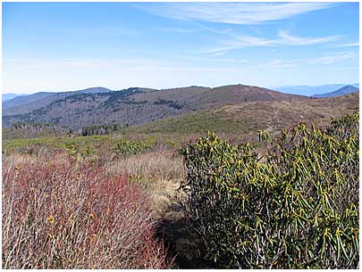 Shining Rock Wilderness