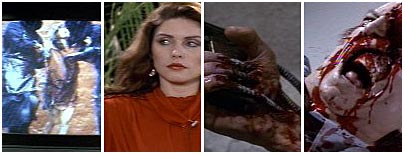 [This is the New Flesh]